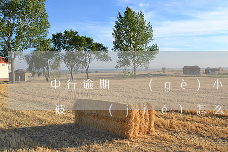 中行逾期幾個(gè)小時(shí)額度被凍結(jié)怎么辦，中行逾期幾小時(shí)，額度被凍結(jié)？解決方案在此！